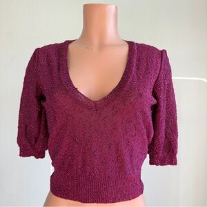 NWT Zara Size Shimmery Knit Puff Sleeve Top